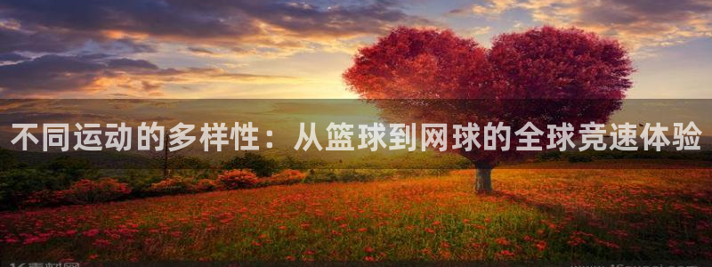 yy易游官网下载官方客服电话：不同运动的多样性：从篮