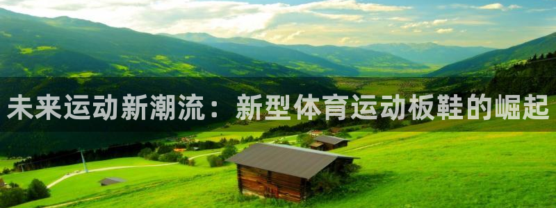 yy易游官网下载是干嘛的公司：未来运动新潮流：新型体育运动板