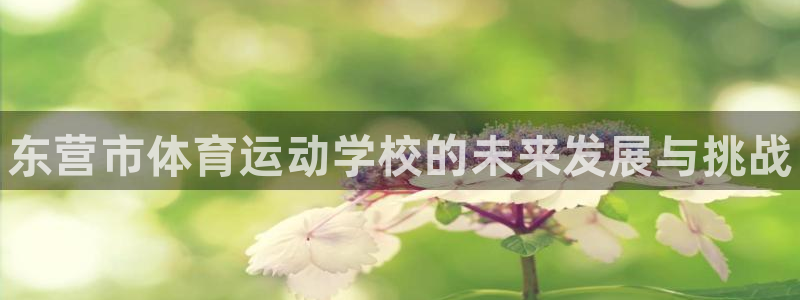 yy易游官方正版app娱乐网站：东营市体育运动学校的未来发展