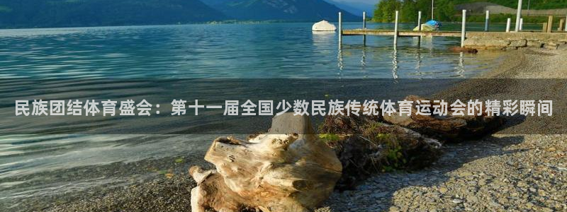yy易游官网下载平台注册：民族团结体育盛会：第十一届全国少数