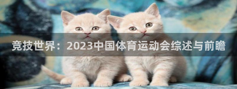 yy易游官网下载平台注册：竞技世界：2023中国体育
