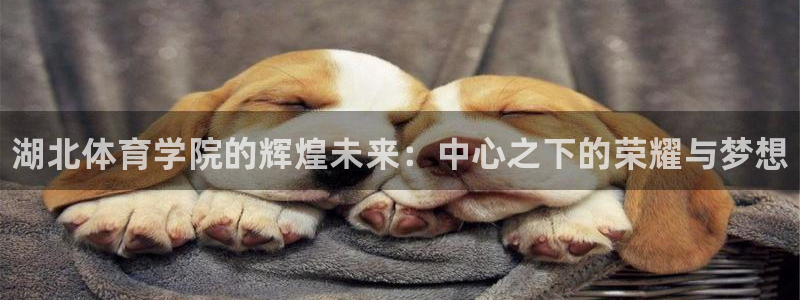 yy易游官方正版app集团简介：湖北体育学院的辉煌未