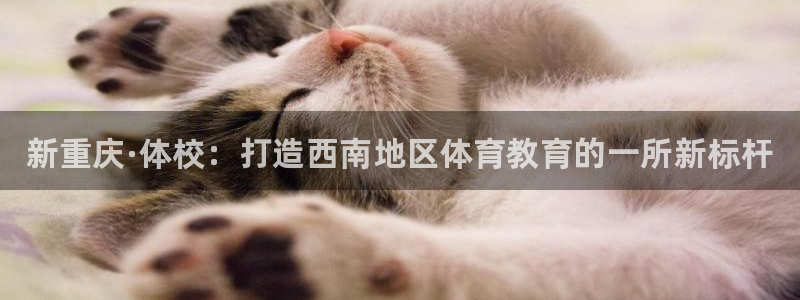 yy易游官网下载平台注册要钱吗：新重庆·体校：打造西