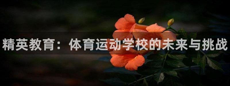 注册yy易游官方正版app：精英教育：体育运动学校的