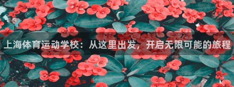 yy易游官网下载平台注册流程视频：上海体育运动学校：