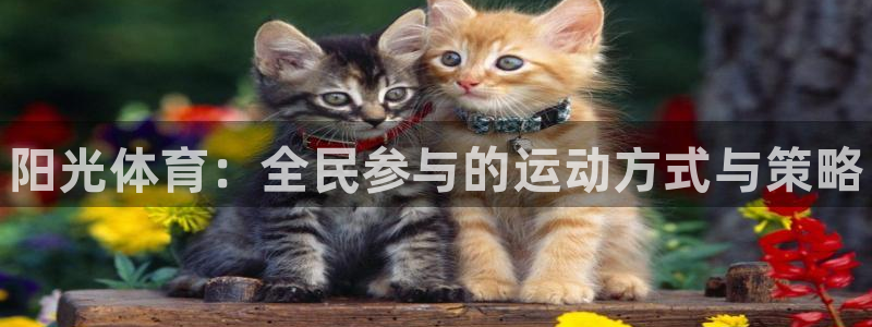 yy易游官网下载平台注册：阳光体育：全民参与的运动方