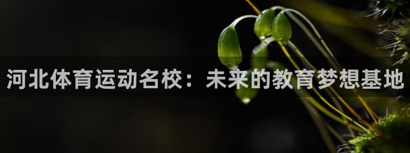 yy易游官网下载平台注册要钱吗安全吗：河北体育运动名校：未来