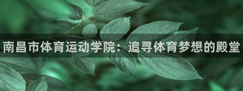 yy易游官网下载联系电话：南昌市体育运动学院：追寻体育梦想的