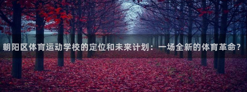yy易游官网下载招商电话号码查询：朝阳区体育运动学校的定位和