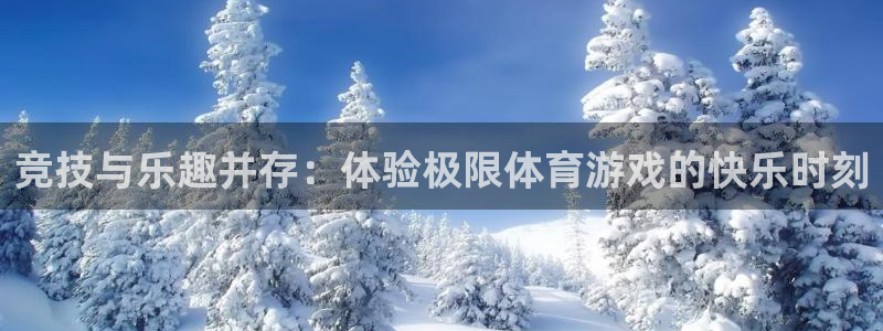 yy易游官方正版app官方：竞技与乐趣并存：体验极限体育游戏