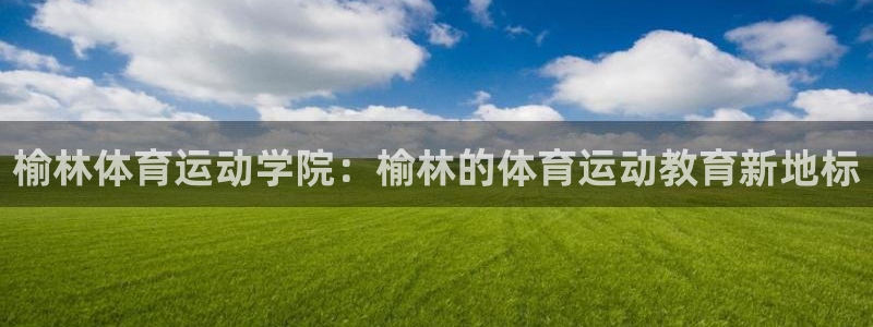 yy易游官方正版app娱乐