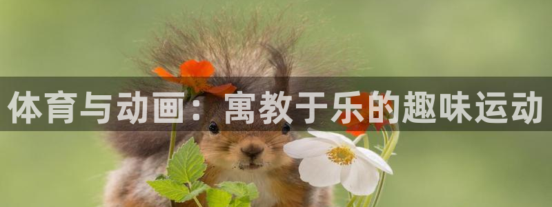 yy易游官网下载官方客服电话