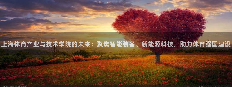 yy易游官方正版app神州：上海体育产业与技术学院的未来：聚