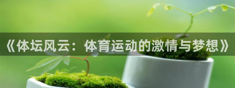 yy易游官方正版app代理