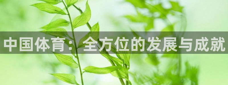 海南yy易游官网下载发展怎么样