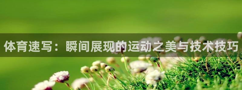 yy易游官方正版app官方