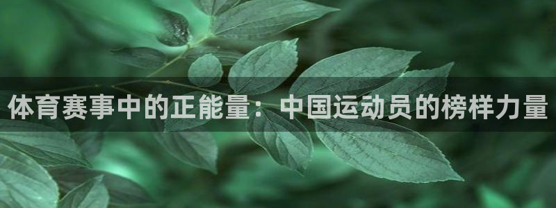 yy易游官方正版app集团官网首页：体育赛事中的正能量：中国