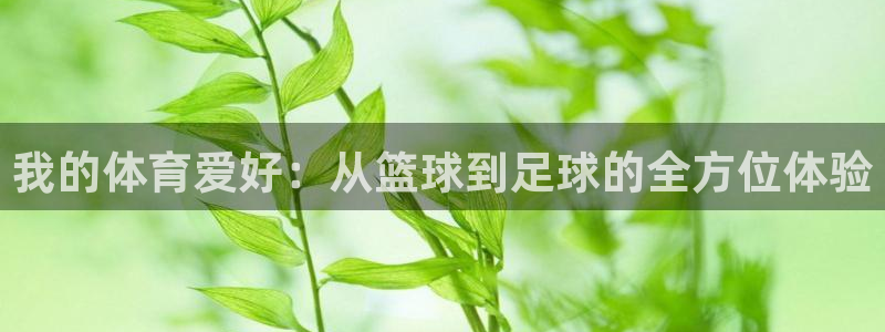 yy易游官网下载招商电话号码查询