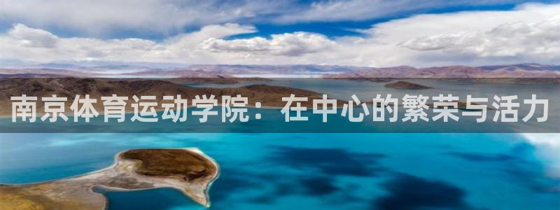 yy易游体育电竞登录不上去：南京体育