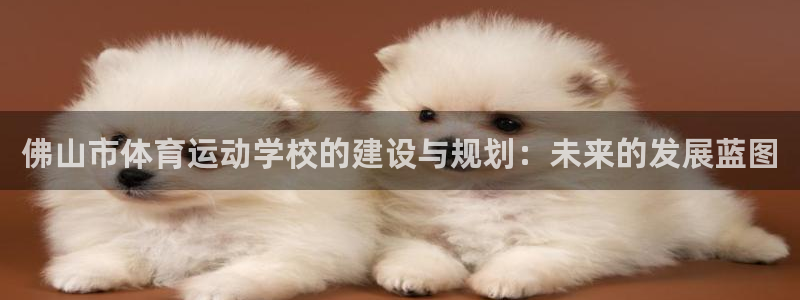 yy易游体育米乐：佛山市体育运动学校